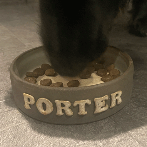 Hundskål timmervikens keramik eget namn kattskål